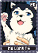 malamute20, Tetsuya #2, Kuroko no Basket, gray